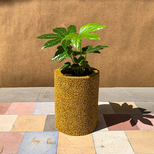 MACETERO REDONDO EARTH - M (18 cm x 14 cms Ø)